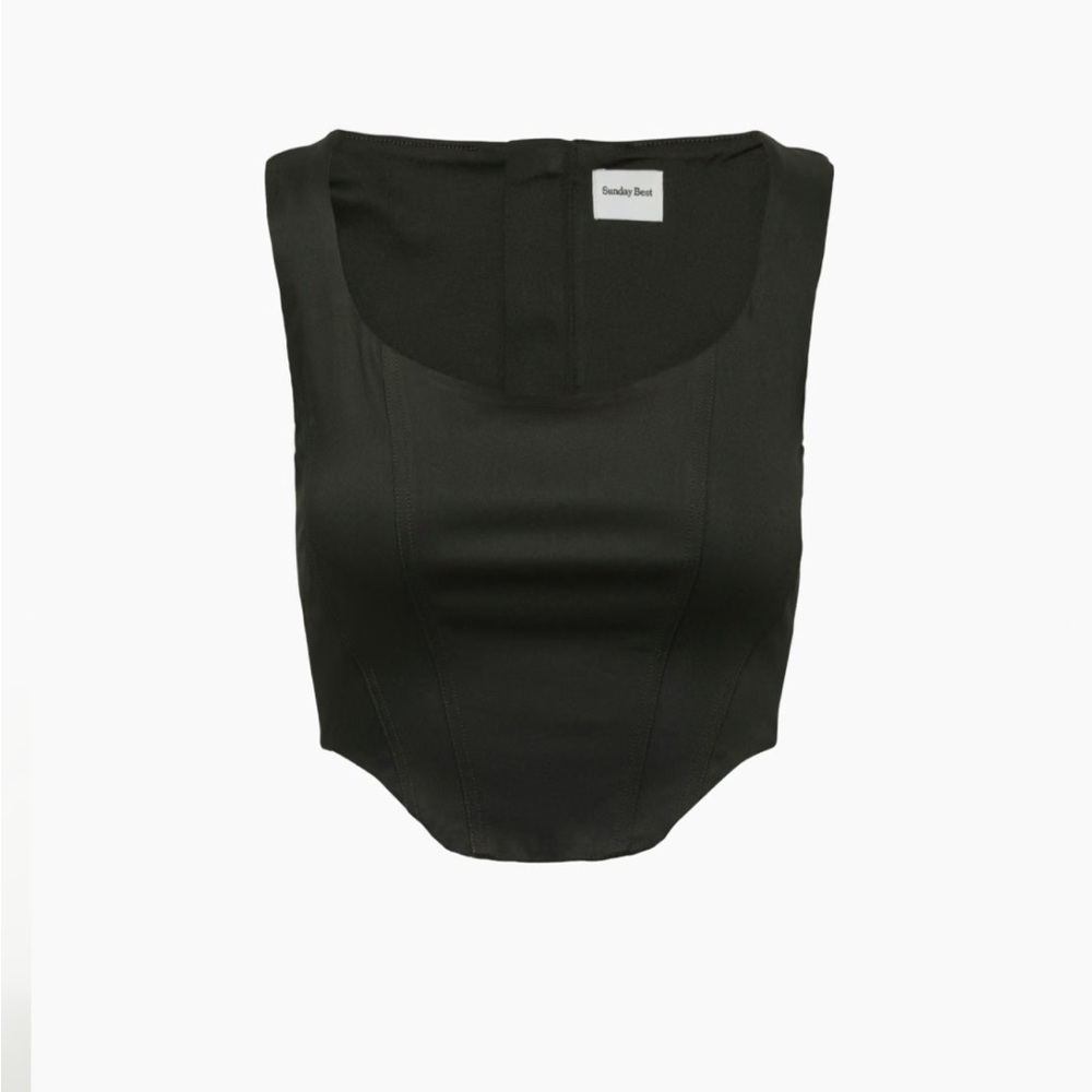 Aritzia Sunday Best Shiloh Satin Bustier Top